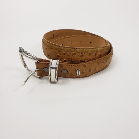 ariat ostrich belt